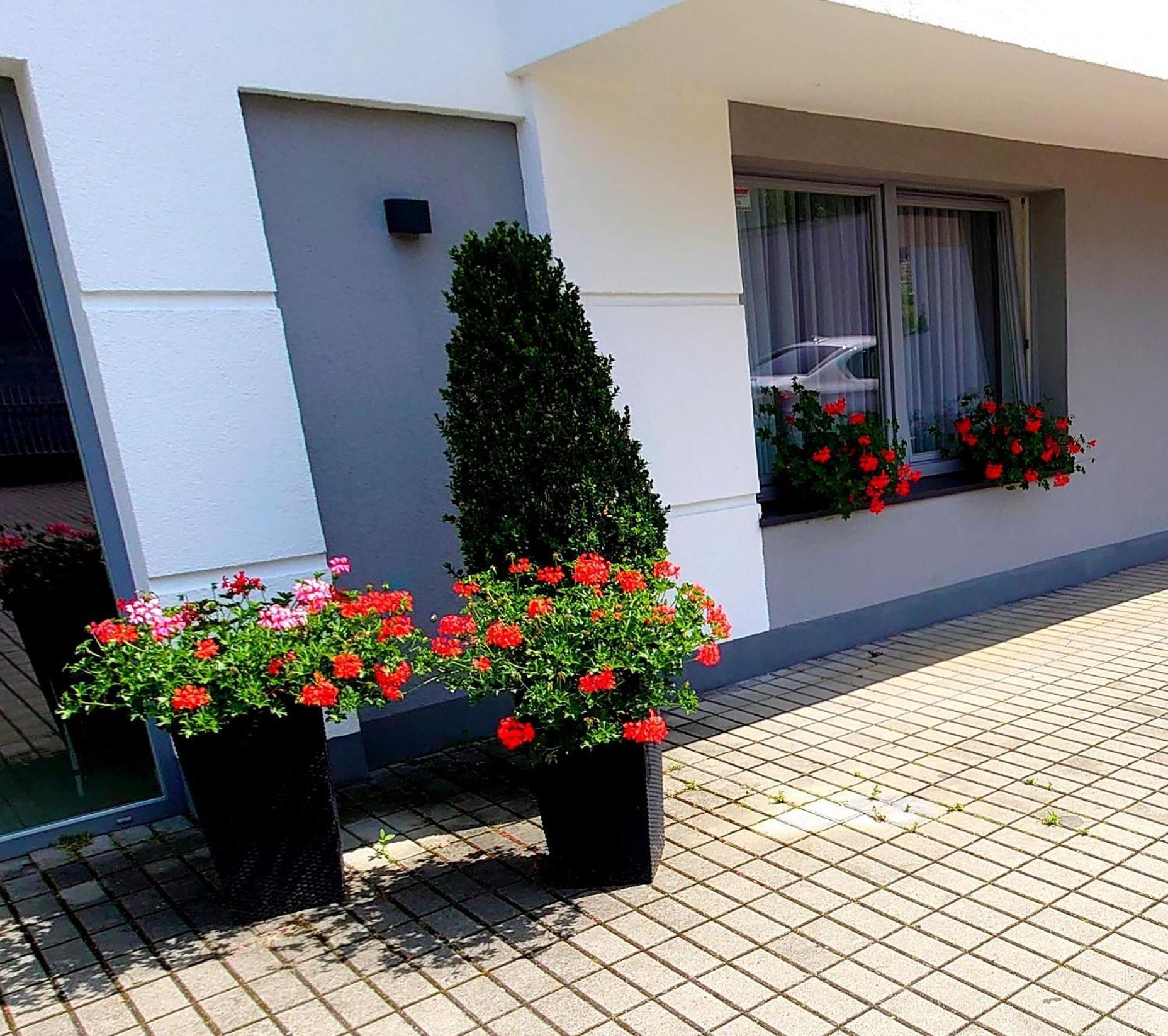 Willa Akacja Gdynia Ngoại thất bức ảnh