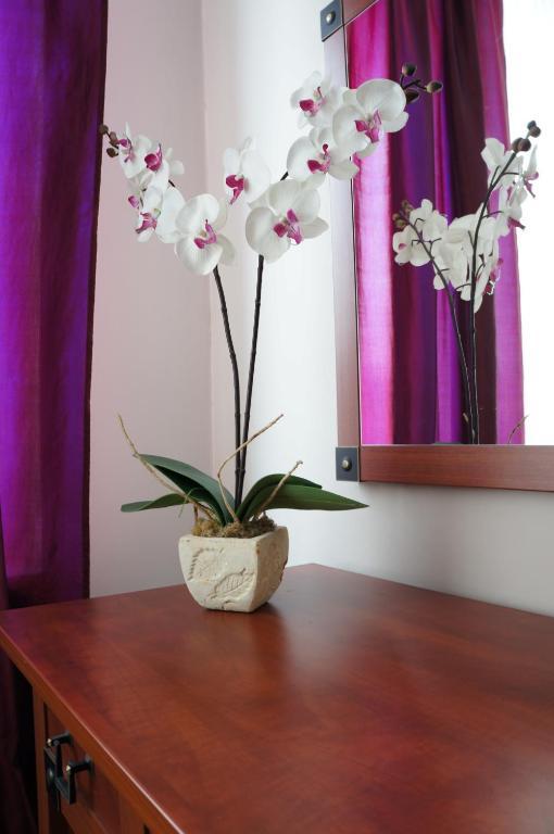 Willa Akacja Gdynia Phòng bức ảnh